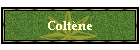 Colt�ne